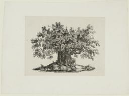 Chène chapelle d'Alouville [sic] dans le pays de Caux | Engelmann, Godefroy (1788-1839)