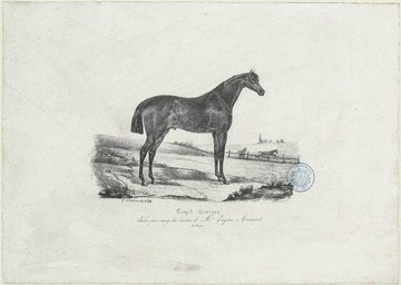 Royal - Georges, étalon-pur-sang des écuries de Mr. Eugène Aumont (de Caen) | Le Couteulx, Gustave (18..-18..)