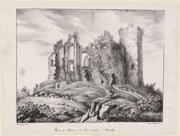 Ruines du château de La Haye Dupuis (Manche) | 