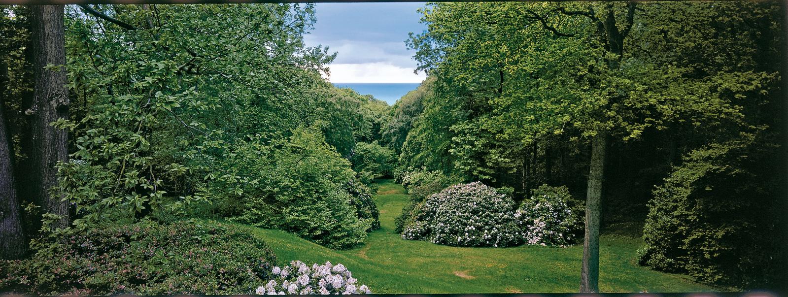 Pascal Cribier, itinéraires d'un jardinier | 