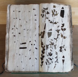 Charlotte Corday jeune