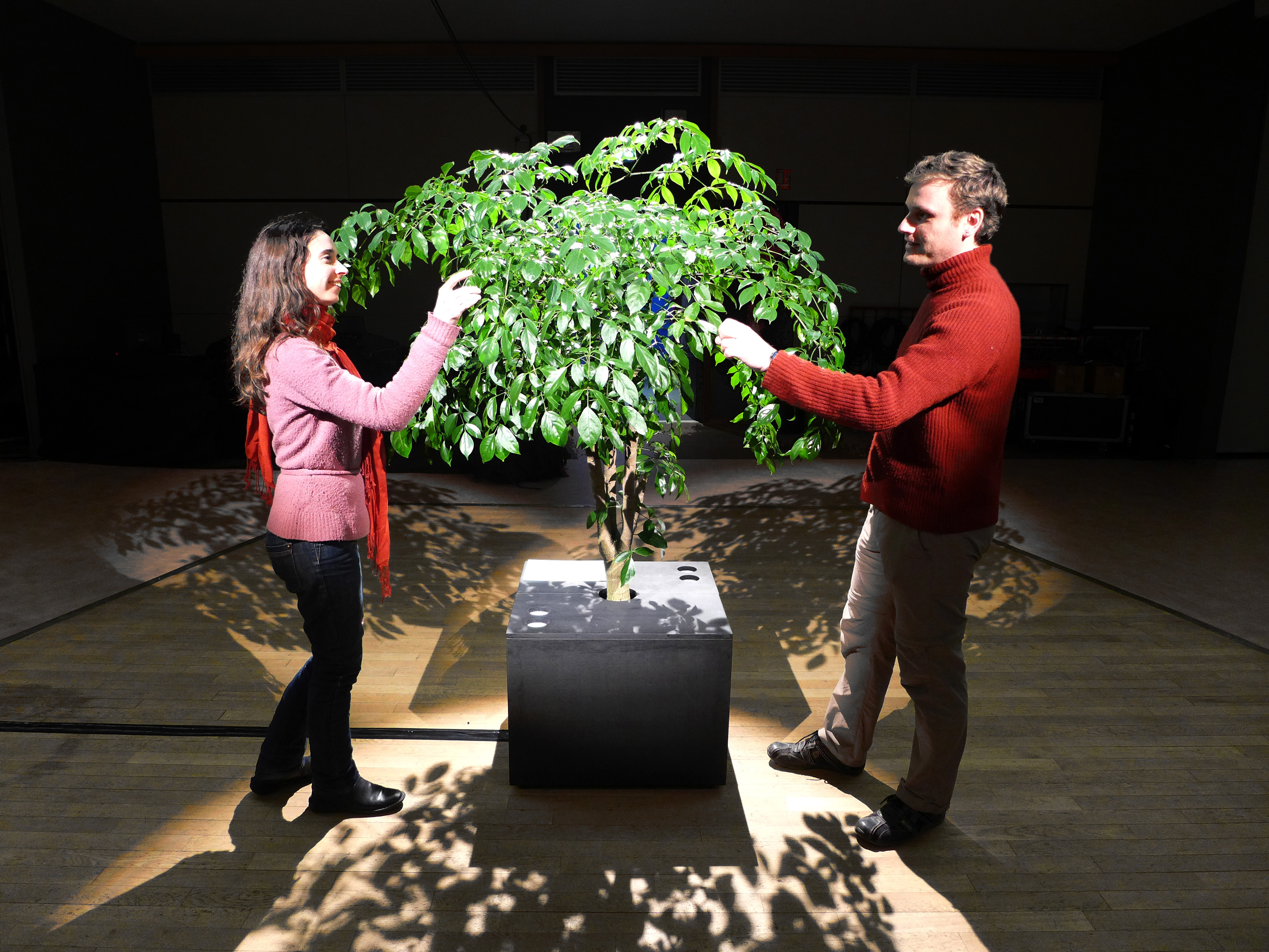 Phonofolium, arbuste sonore et interactif | 