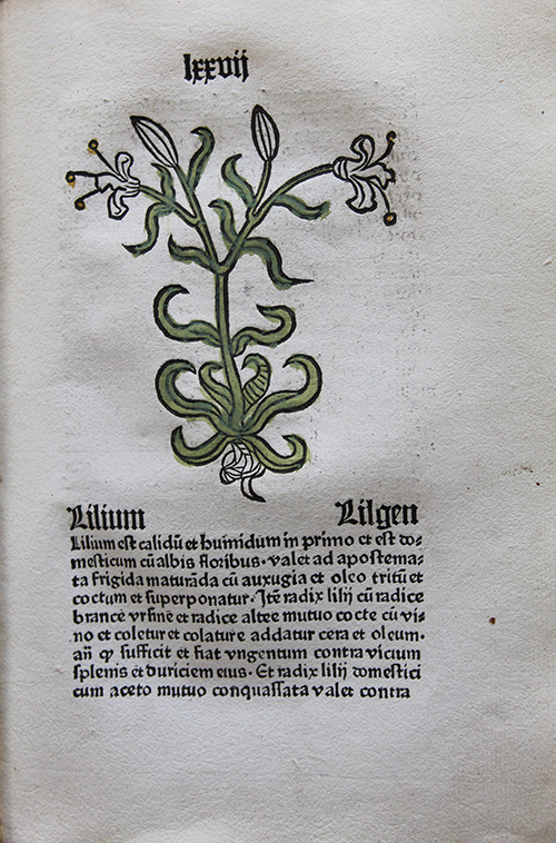 https://bibliotheques.caenlamer.fr/herbiers-herbarius.aspx