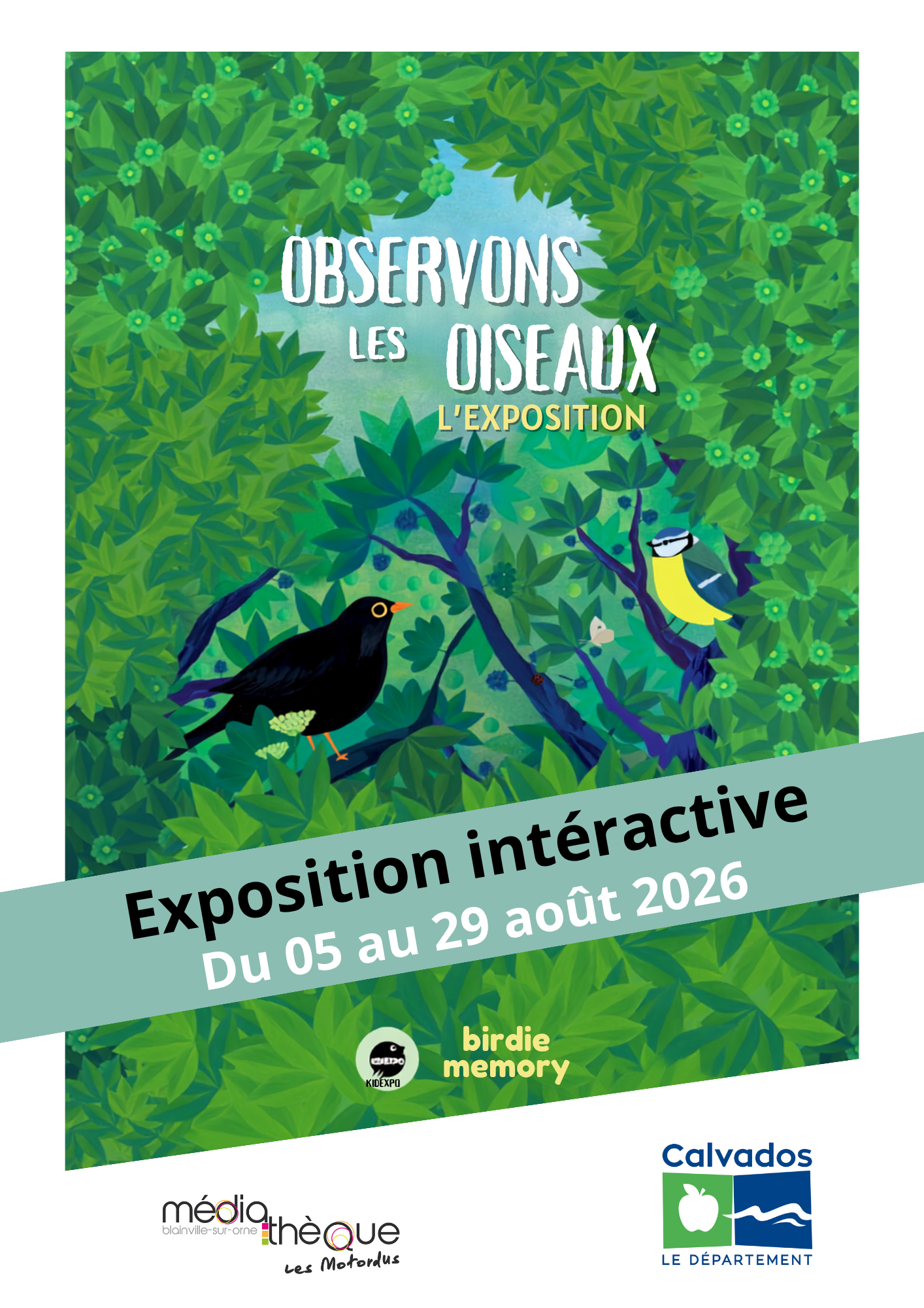 Observons les oiseaux | 
