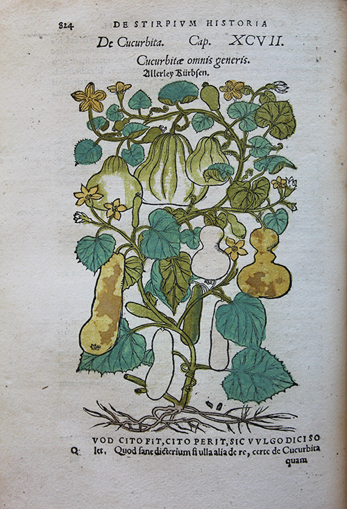 https://bibliotheques.caenlamer.fr/caen-bibliotheque-alexis-de-tocqueville-patrimoine-expo-v-herbiers-tragus.aspx