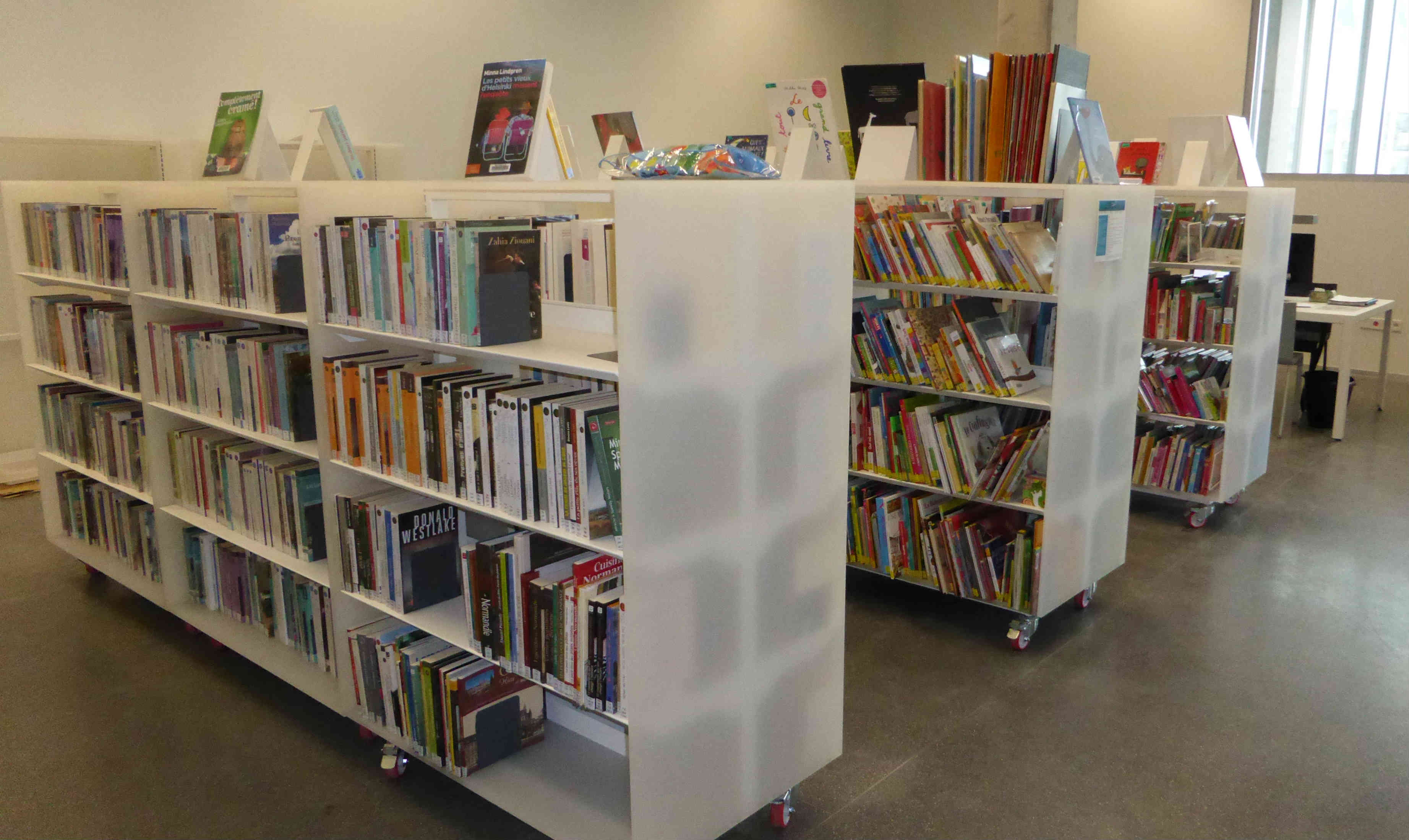 Le fonds Insertion se situe dans l'Espace partenaires (Bibliothèque Alexis de Tocqueville)